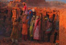 Delivery of Subsidised Food Grains to Migratory Workers: One Nation, One Ration Card Scheme One Nation, One Ration Card Scheme