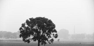 Cold Weather Conditions in North India to Continue for The Next Two Days   Cold Weather Conditions in North India to Continue for The Next Two Days