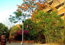 What ails JNU and Jamia and Indian Universities at large?   What ails JNU and Jamia and Indian Universities at large?