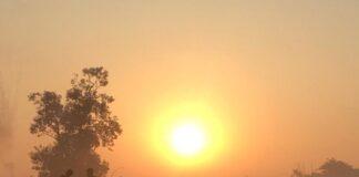 Happy New Year Happy new year