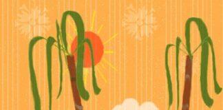 Pongal Celebrations in Tamil Nadu