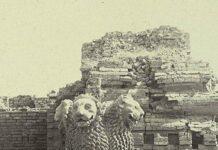 TM Krishna: The Singer who has given voice to ‘Ashoka the Great’ in 21st Century   TM Krishna: The Singer who has given voice to ‘Ashoka the Great’ in 21st Century