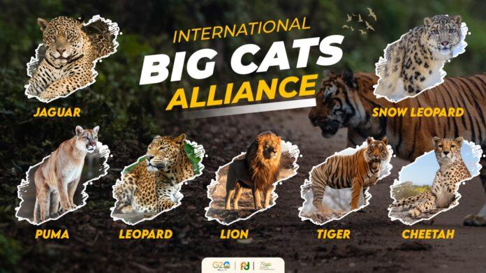 International Big Cat Alliance (IBCA) gelanceerd voor het behoud van zeven grote katachtigen